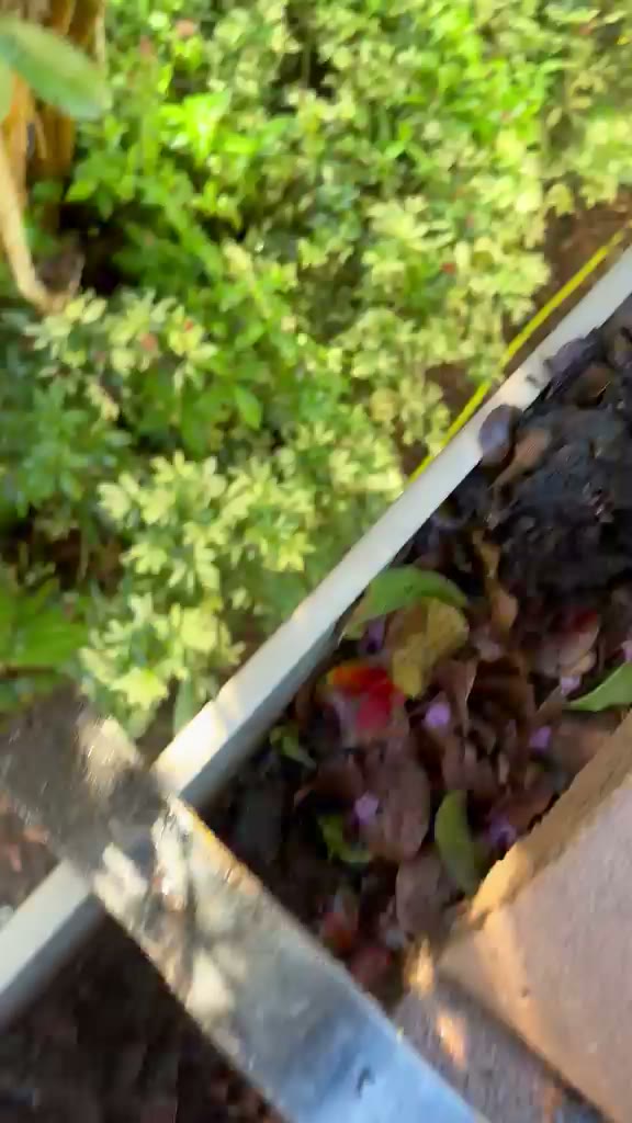 Still frame from a Joya General Services job video
