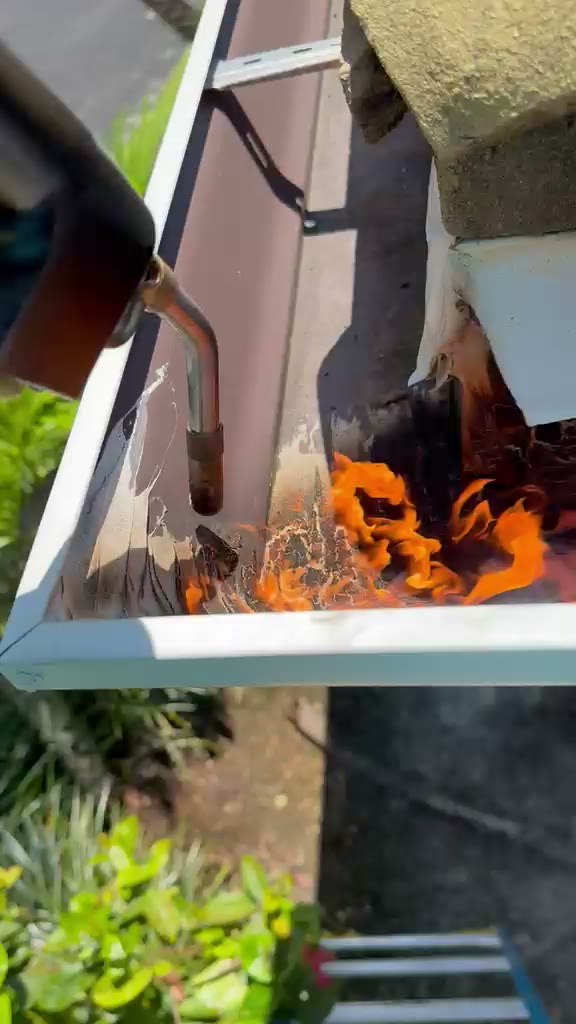Still frame from a Joya General Services job video